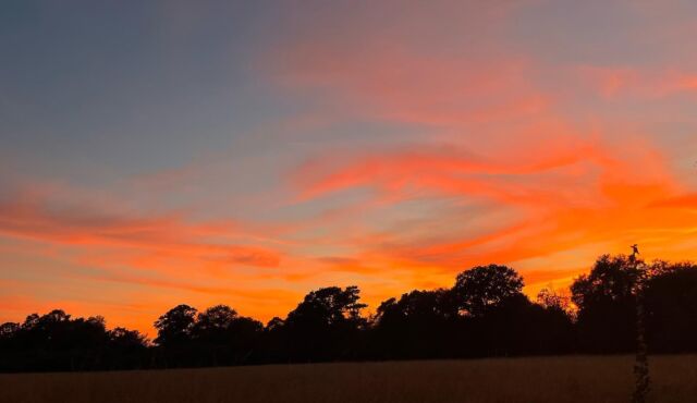 Shepherd’s delight…. Catching the last of this beautiful orange summer sky….